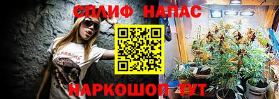 a pvp Кунгур