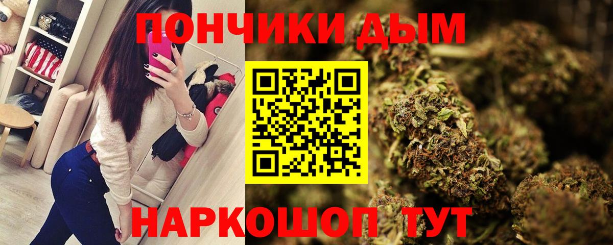Каннабис индика Клинцы
